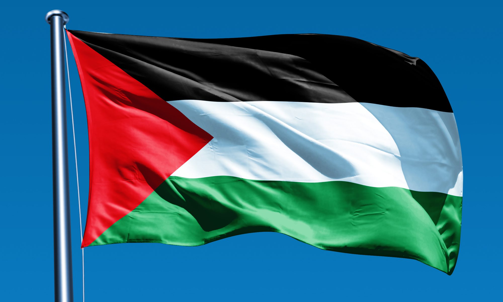 RISOLUZIONE A FAVORE DELLA PALESTINA